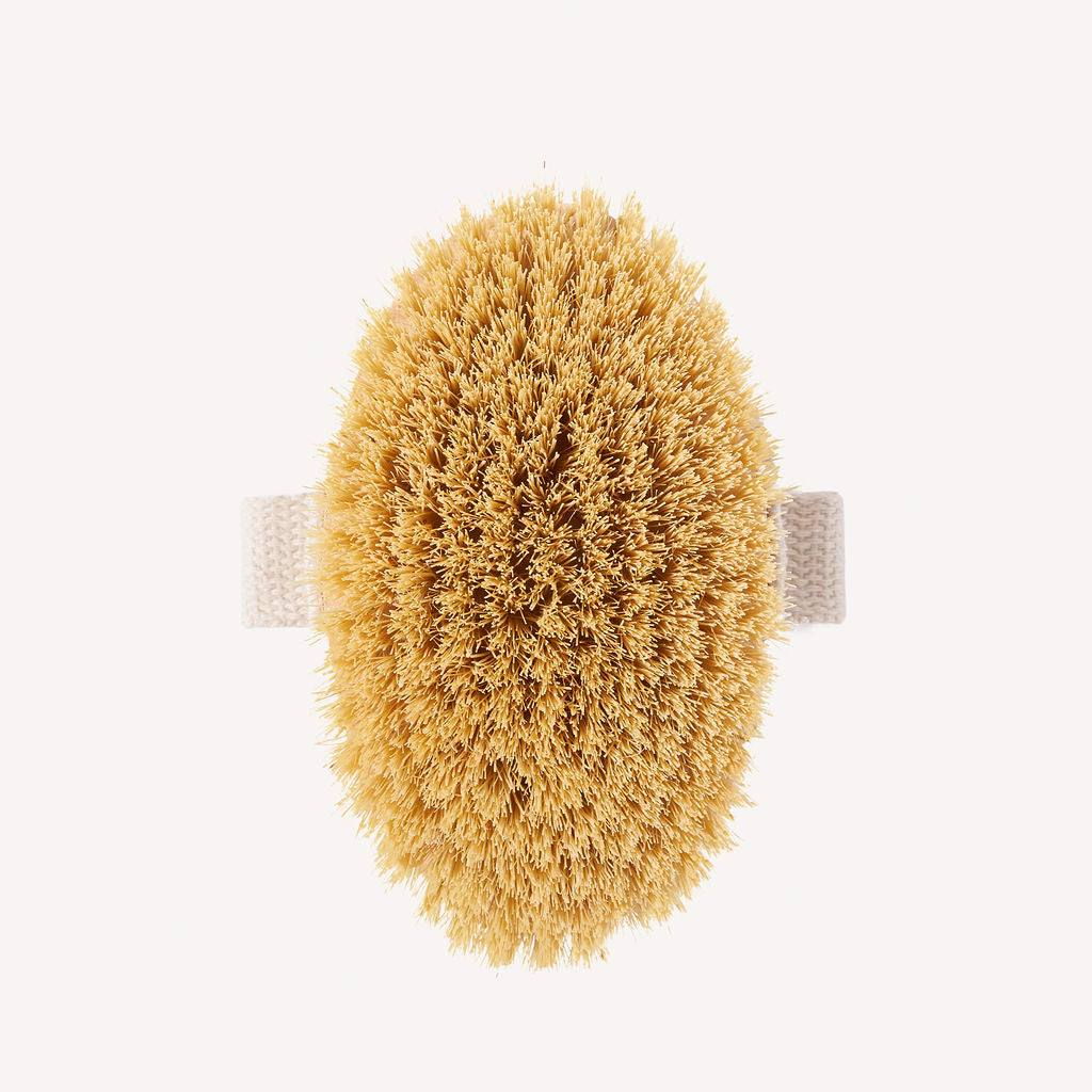 Natural Bristle Dry Body Brush | FSC-Certified Beechwood & Sisal