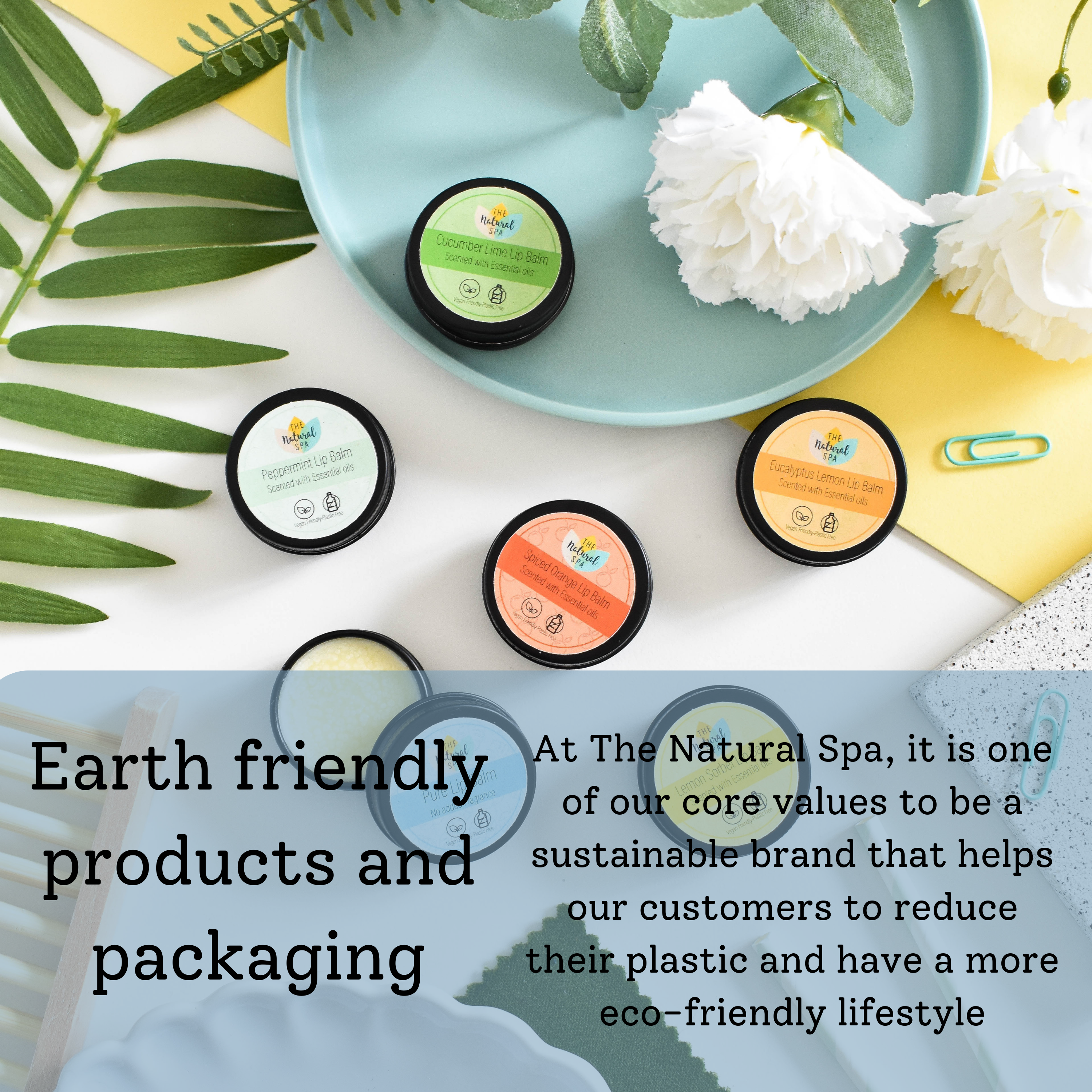 Pure Natural Lip Balm | Shea Butter, Jojoba & Vitamin E